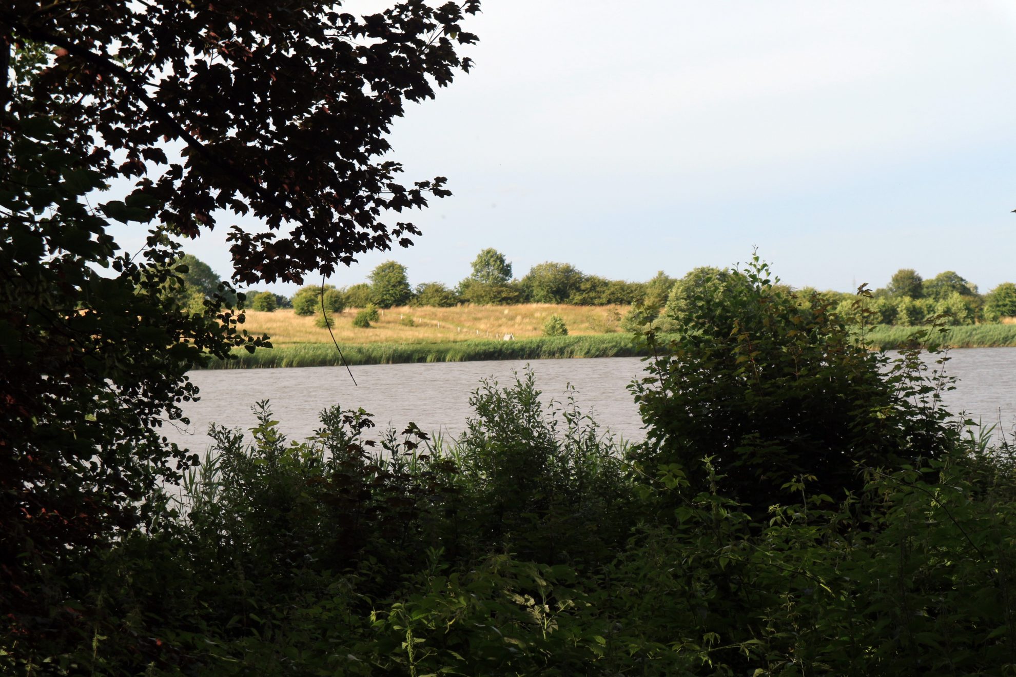 Blick zwischen Bäumen auf Winderatter See, Sörup
